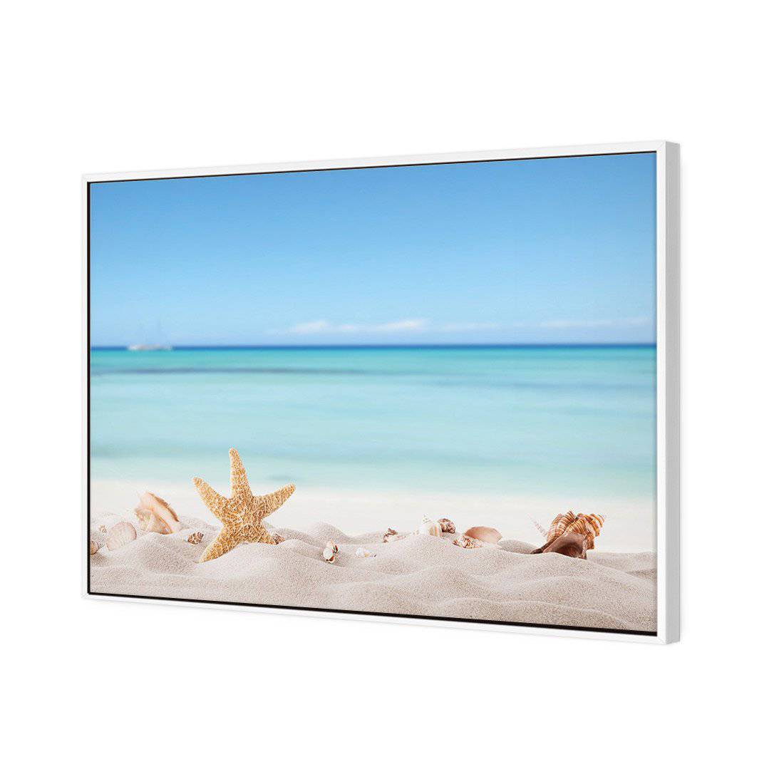 Starfish and Friends Canvas Art-Canvas-Wall Art Designs-45x30cm-Canvas - White Frame-Wall Art Designs