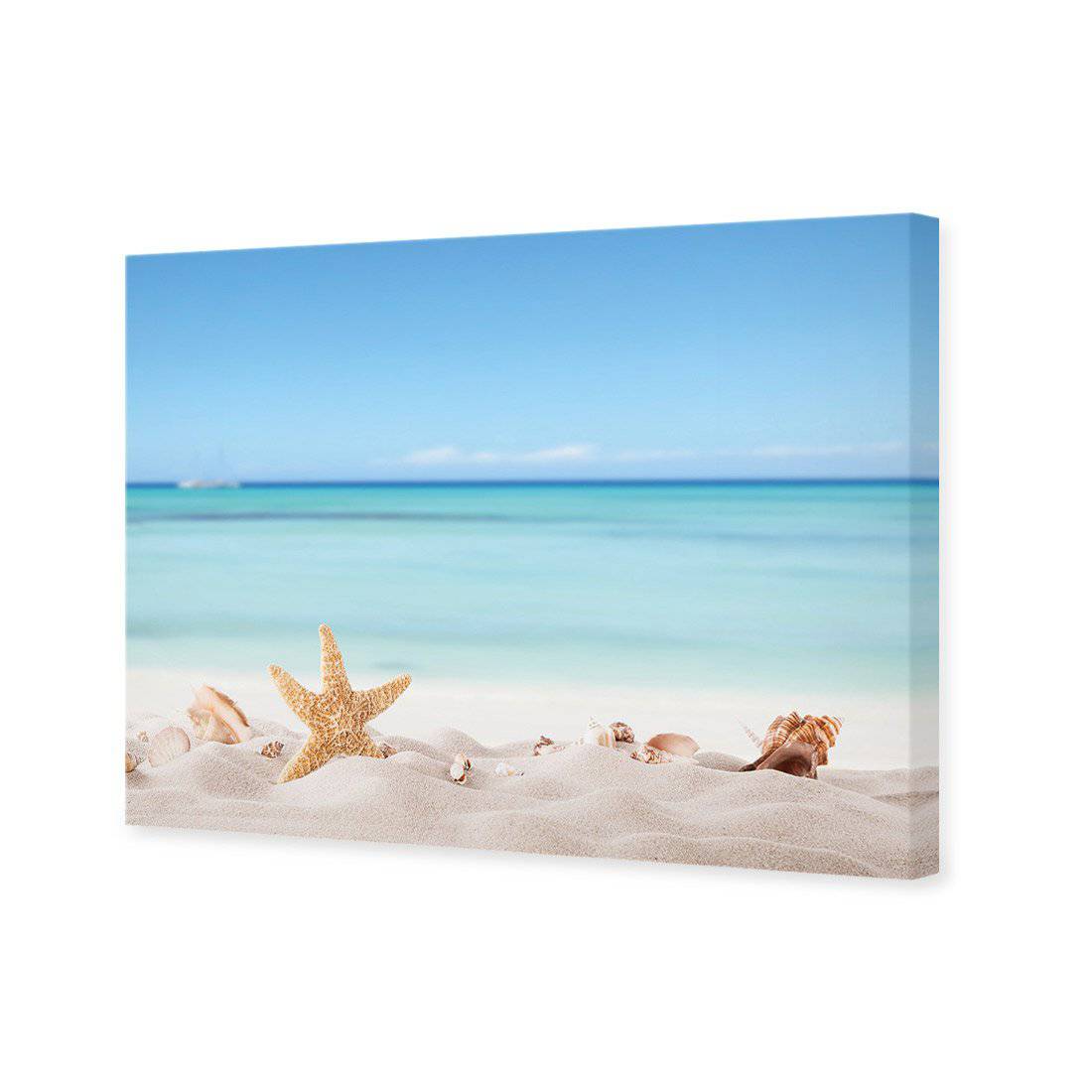 Starfish and Friends Canvas Art-Canvas-Wall Art Designs-45x30cm-Canvas - No Frame-Wall Art Designs