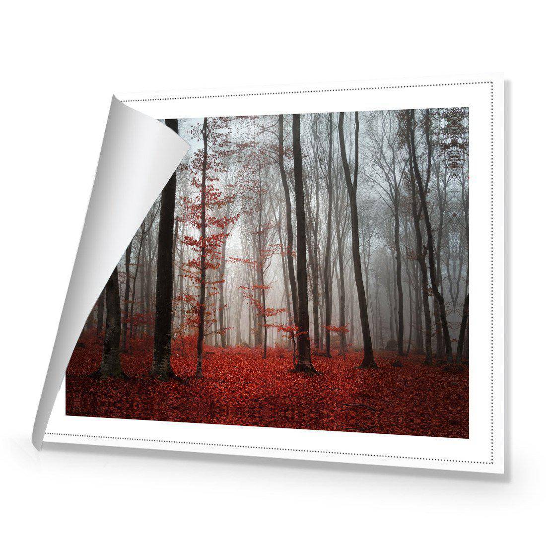 Scarlet Forest Canvas Art-Canvas-Wall Art Designs-45x30cm-Rolled Canvas-Wall Art Designs
