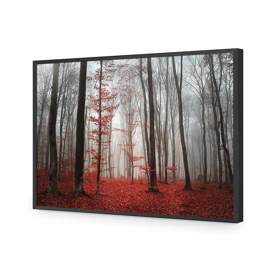 Scarlet Forest-Acrylic-Wall Art Design-Without Border-Acrylic - Black Frame-45x30cm-Wall Art Designs