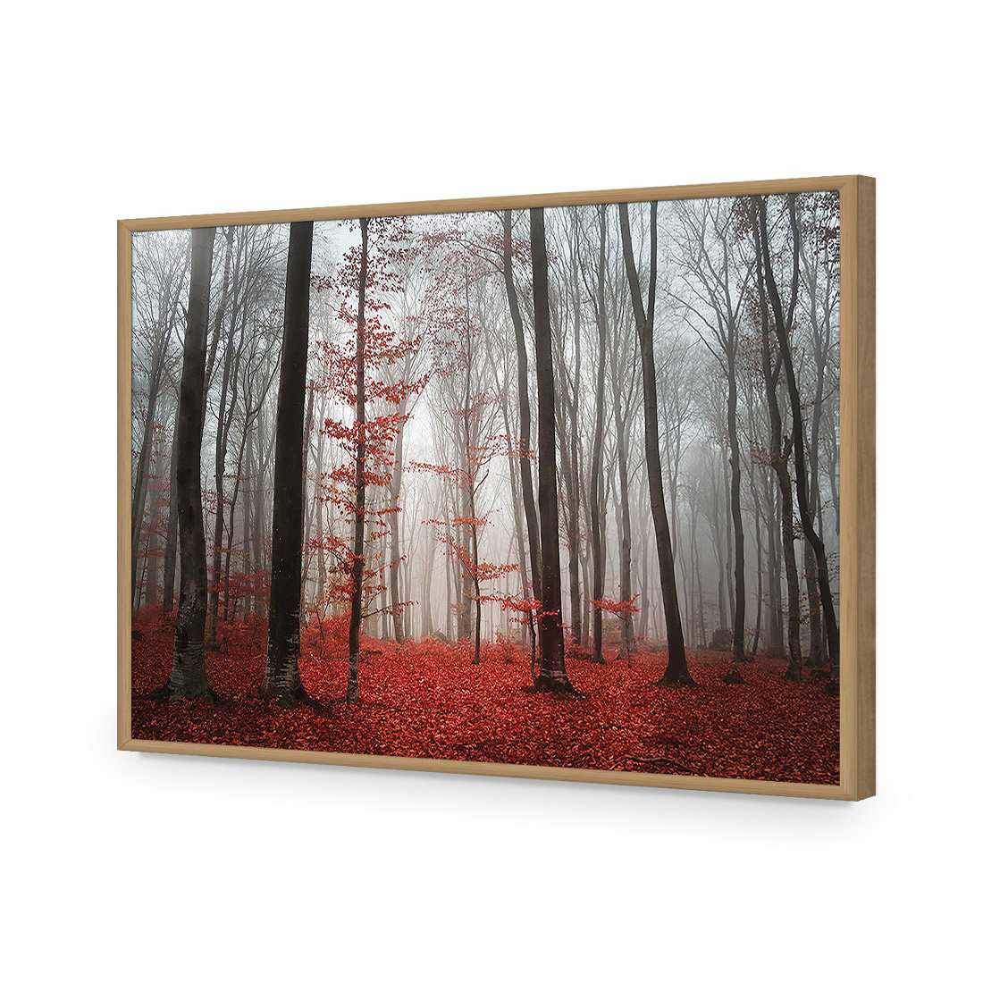 Scarlet Forest-Acrylic-Wall Art Design-Without Border-Acrylic - Oak Frame-45x30cm-Wall Art Designs