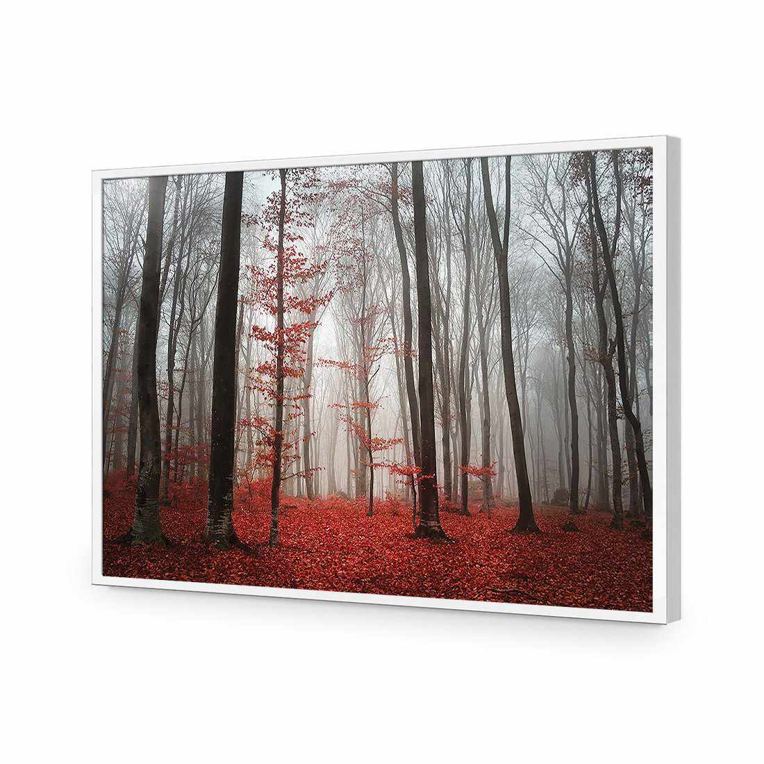 Scarlet Forest-Acrylic-Wall Art Design-Without Border-Acrylic - White Frame-45x30cm-Wall Art Designs