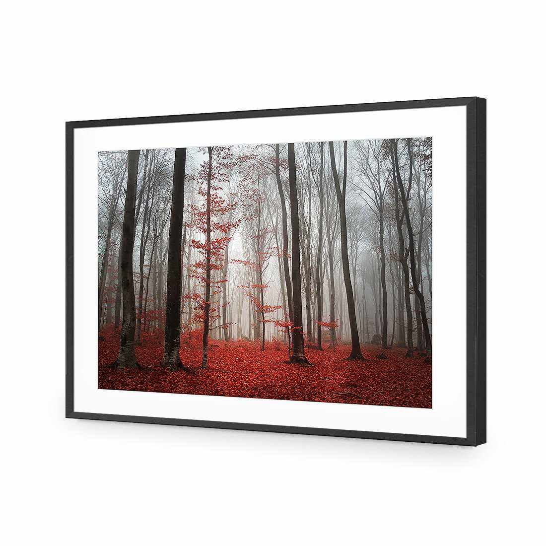 Scarlet Forest-Acrylic-Wall Art Design-With Border-Acrylic - Black Frame-45x30cm-Wall Art Designs