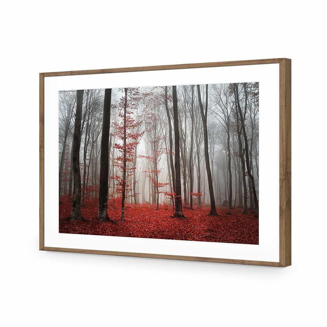 Scarlet Forest-Acrylic-Wall Art Design-With Border-Acrylic - Natural Frame-45x30cm-Wall Art Designs