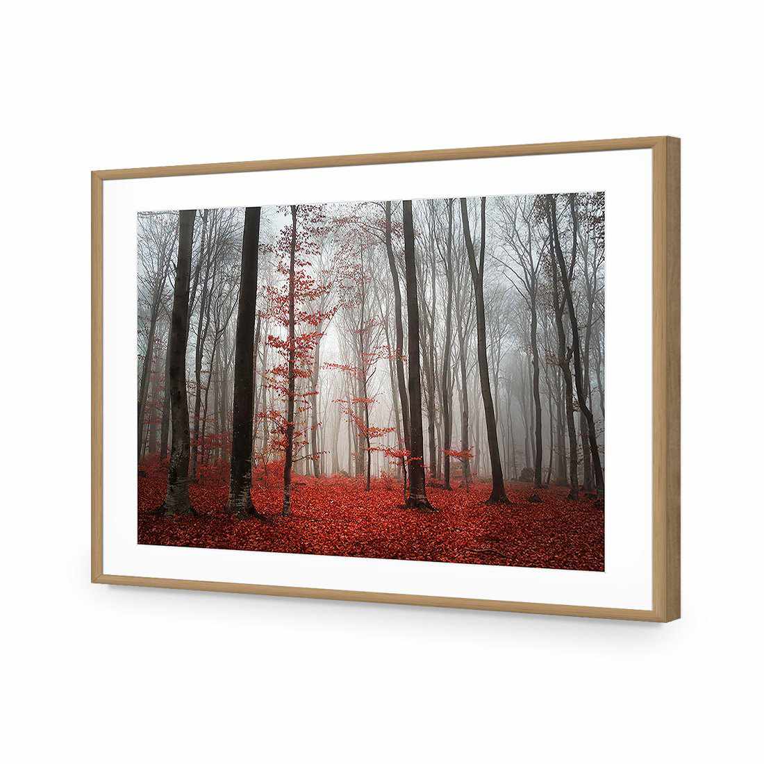 Scarlet Forest-Acrylic-Wall Art Design-With Border-Acrylic - Oak Frame-45x30cm-Wall Art Designs