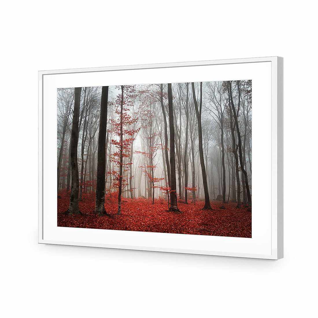 Scarlet Forest-Acrylic-Wall Art Design-With Border-Acrylic - White Frame-45x30cm-Wall Art Designs