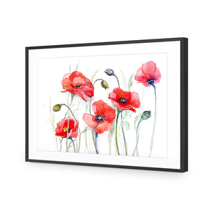 Poppsicals | Standard Acrylic | Flat Frame With Border | Black