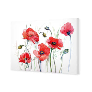 Poppsicals | Standard Canvas | No Frame | Stretched Canvas