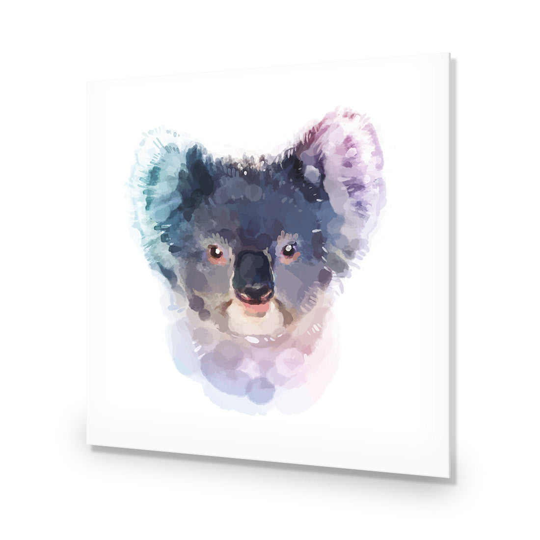 Watercolour Koala, Square | Classic Acrylic | No Frame No Border