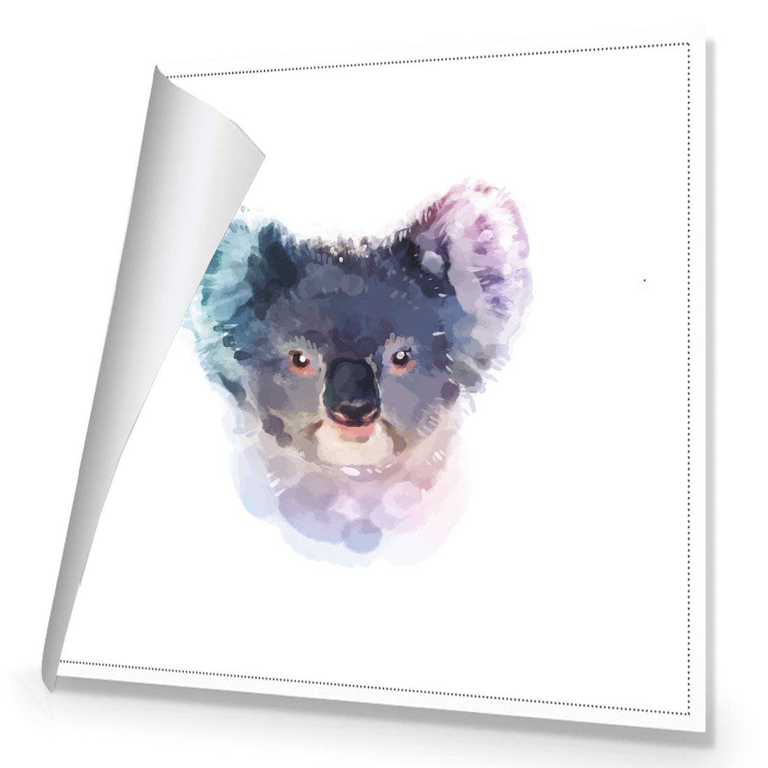 Watercolour Koala Canvas Art-Canvas-Wall Art Designs-30x30cm-Rolled Canvas-Wall Art Designs