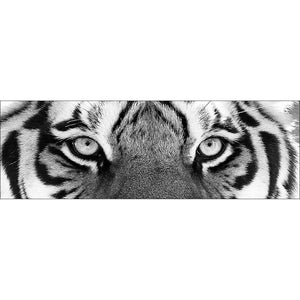 Tiger Eyes, B&W