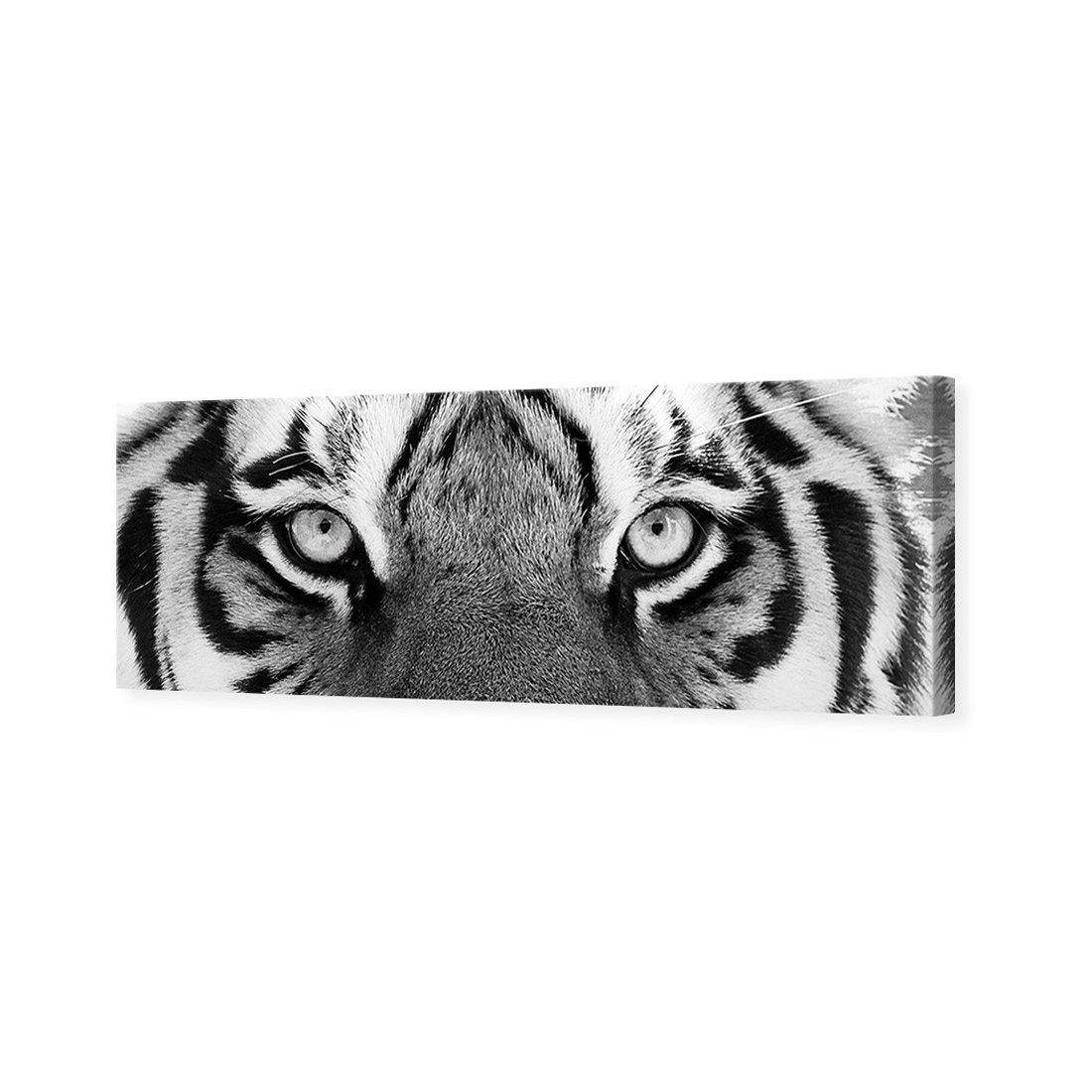 Tiger Eyes, B&W Canvas Art-Canvas-Wall Art Designs-60x20cm-Canvas - No Frame-Wall Art Designs