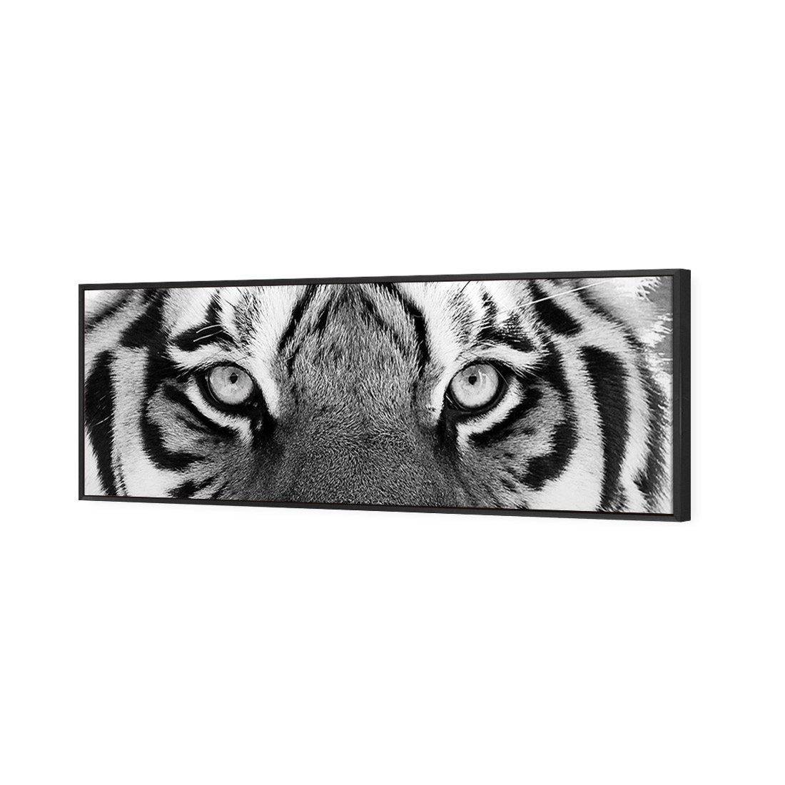 Tiger Eyes, B&W Canvas Art-Canvas-Wall Art Designs-60x20cm-Canvas - Black Frame-Wall Art Designs