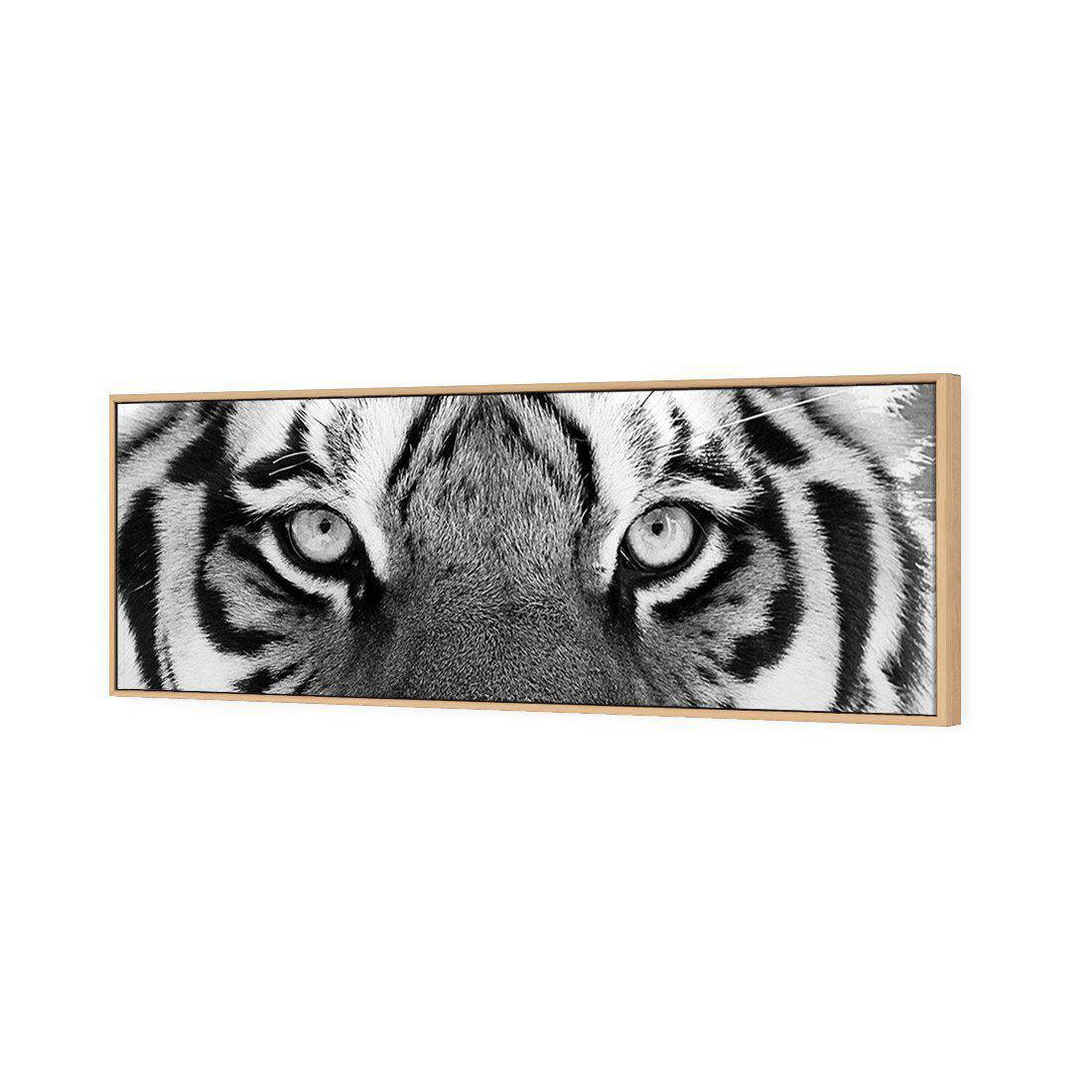 Tiger Eyes, B&W Canvas Art-Canvas-Wall Art Designs-60x20cm-Canvas - Oak Frame-Wall Art Designs