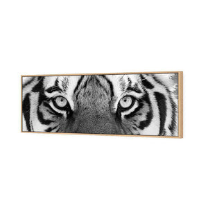 Tiger Eyes, B&W | Standard Canvas | Floating Frame | Oak