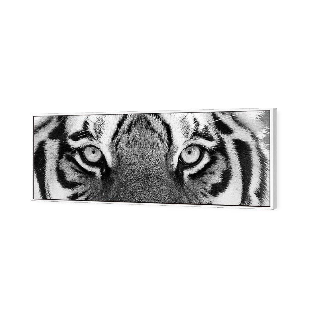 Tiger Eyes, B&W Canvas Art-Canvas-Wall Art Designs-60x20cm-Canvas - White Frame-Wall Art Designs