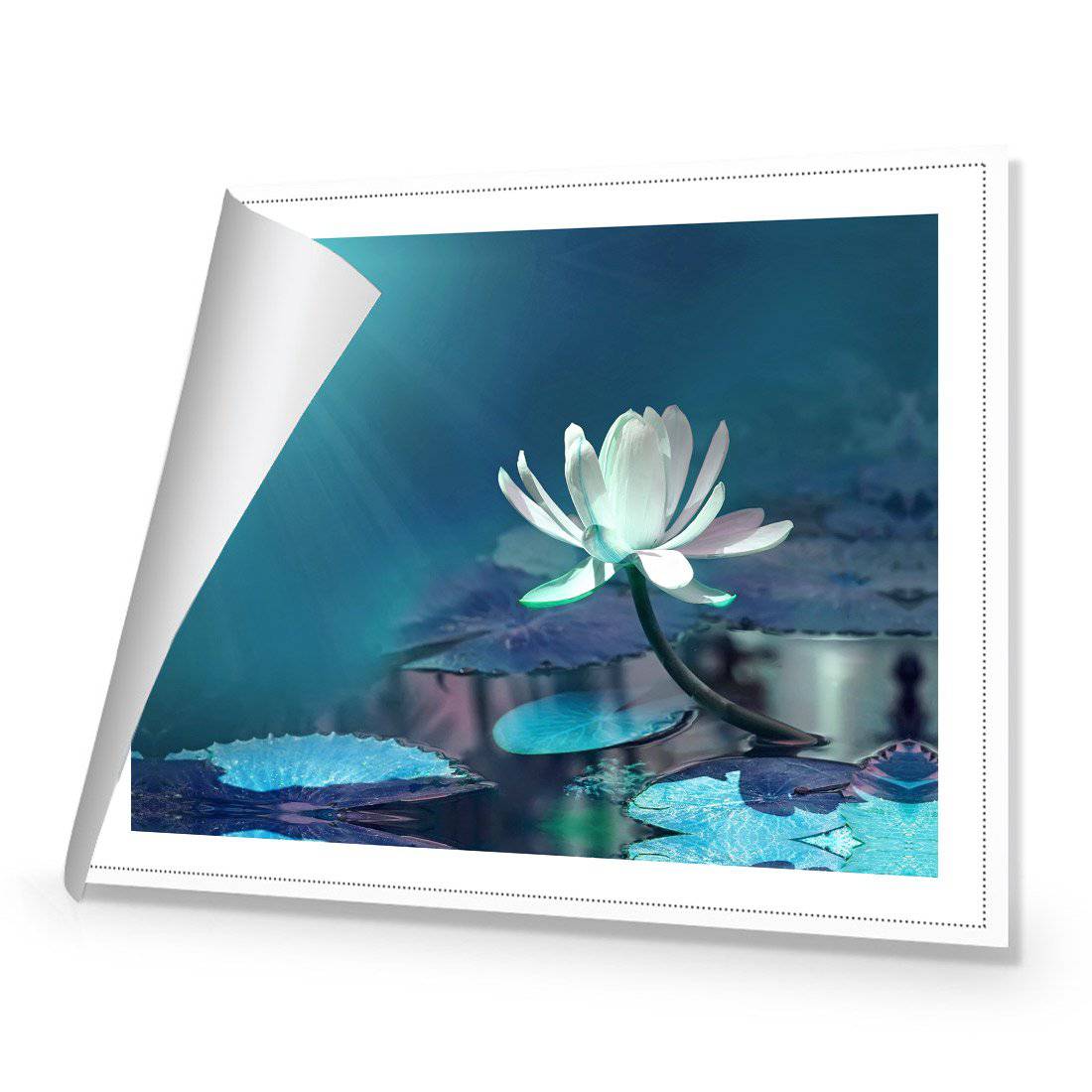 Water Lily, Blue Canvas Art-Canvas-Wall Art Designs-45x30cm-Rolled Canvas-Wall Art Designs