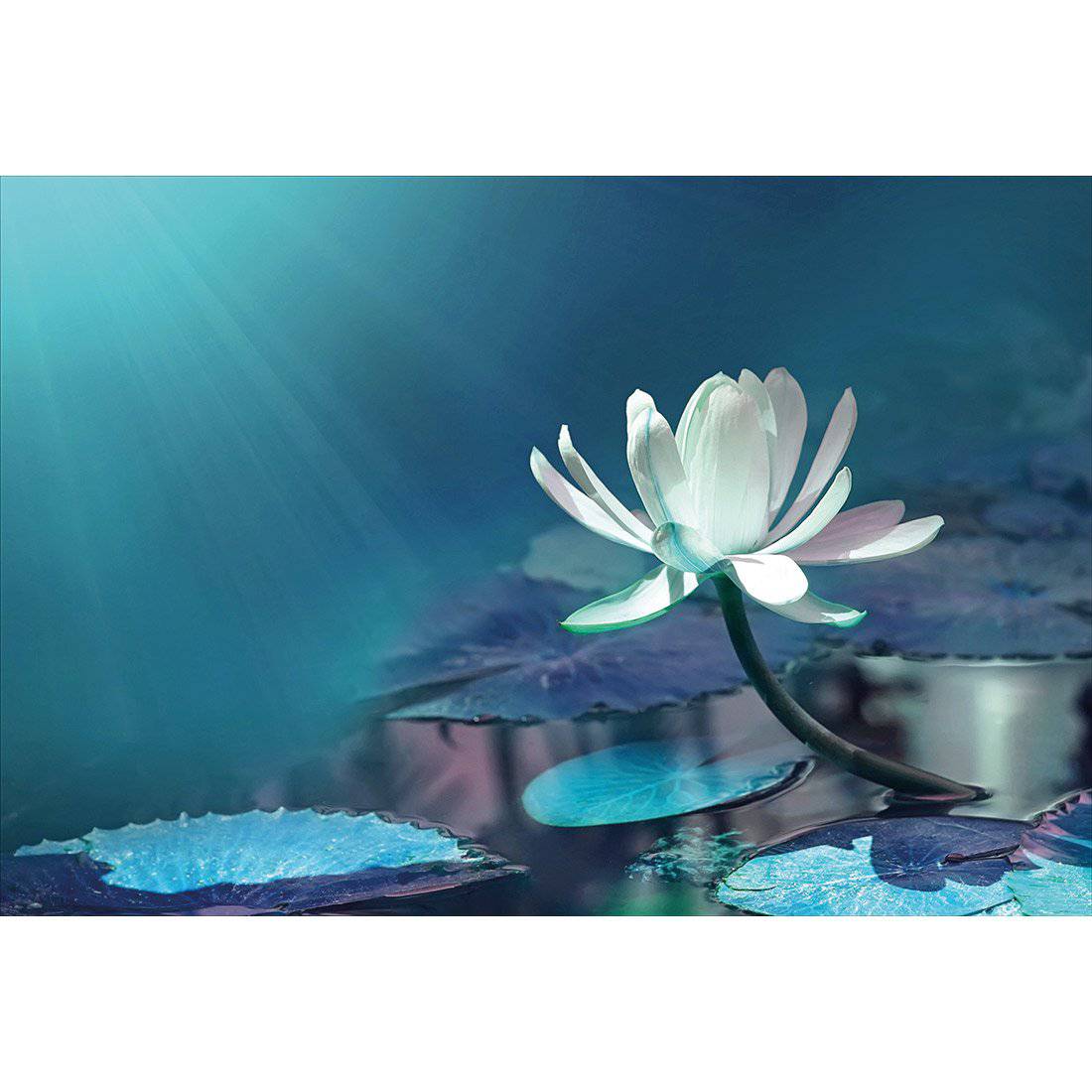 Water Lily, Blue Canvas Art-Canvas-Wall Art Designs-45x30cm-Canvas - No Frame-Wall Art Designs