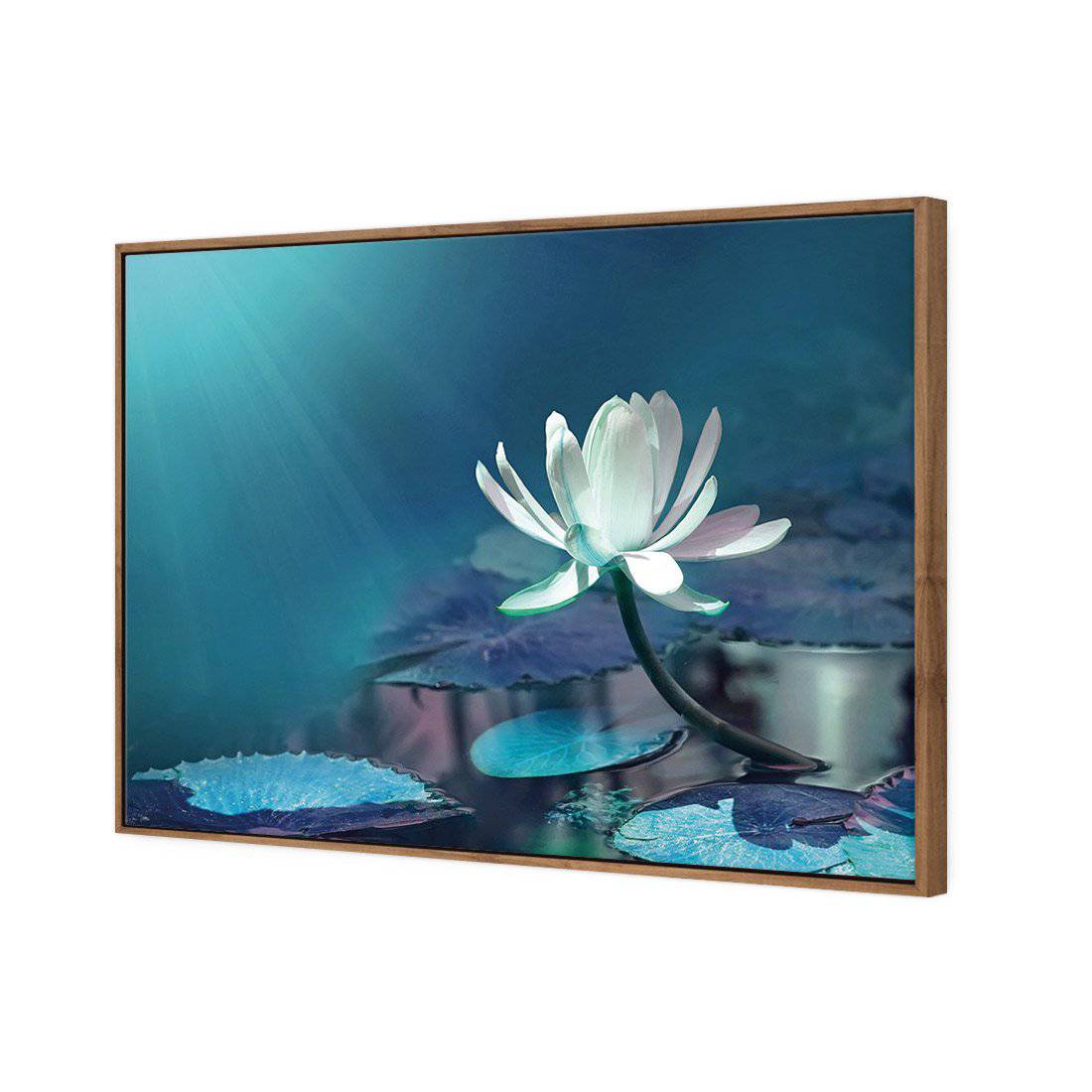 Water Lily, Blue | Standard Canvas | Floating Frame | Natural