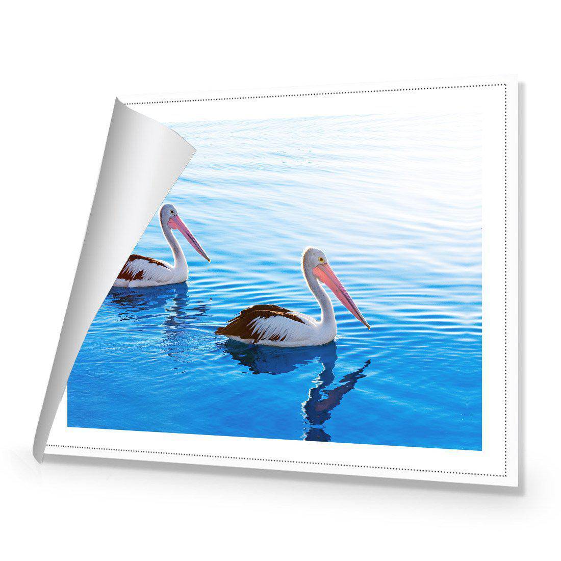 Pelican Pair Canvas Art-Canvas-Wall Art Designs-45x30cm-Rolled Canvas-Wall Art Designs
