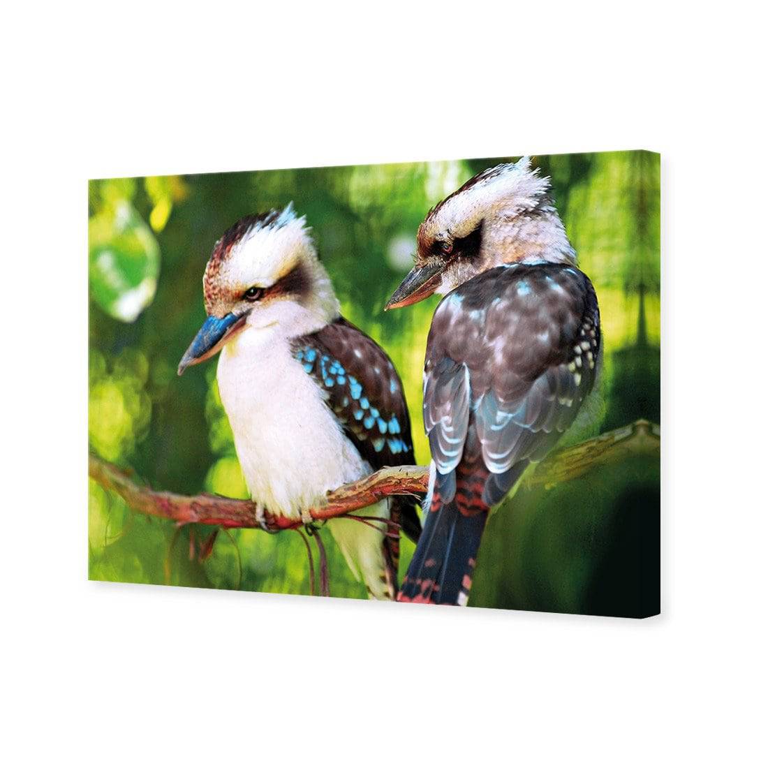 Kookaburra Pair Canvas Art-Canvas-Wall Art Designs-45x30cm-Canvas - No Frame-Wall Art Designs
