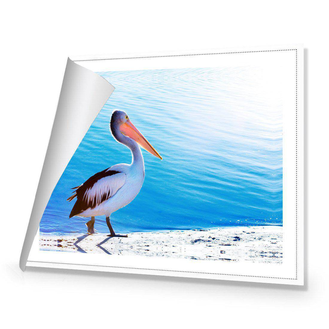 Pelican Canvas Art-Canvas-Wall Art Designs-45x30cm-Rolled Canvas-Wall Art Designs