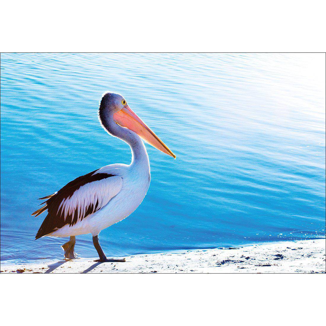 Pelican Canvas Art-Canvas-Wall Art Designs-45x30cm-Canvas - No Frame-Wall Art Designs