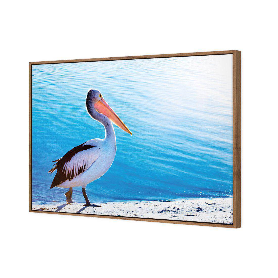 Pelican Canvas Art-Canvas-Wall Art Designs-45x30cm-Canvas - Natural Frame-Wall Art Designs