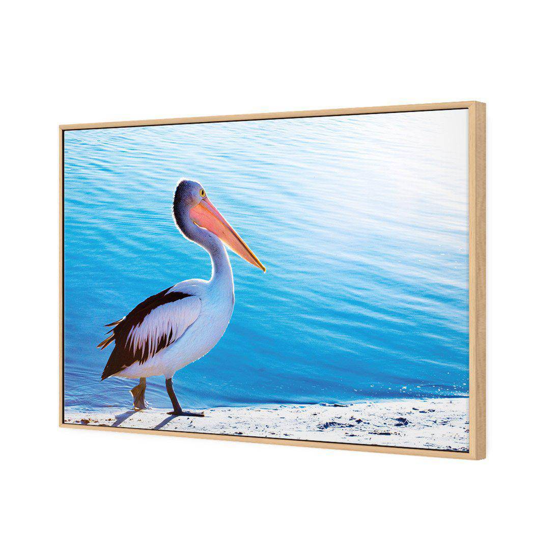 Pelican Canvas Art-Canvas-Wall Art Designs-45x30cm-Canvas - Oak Frame-Wall Art Designs