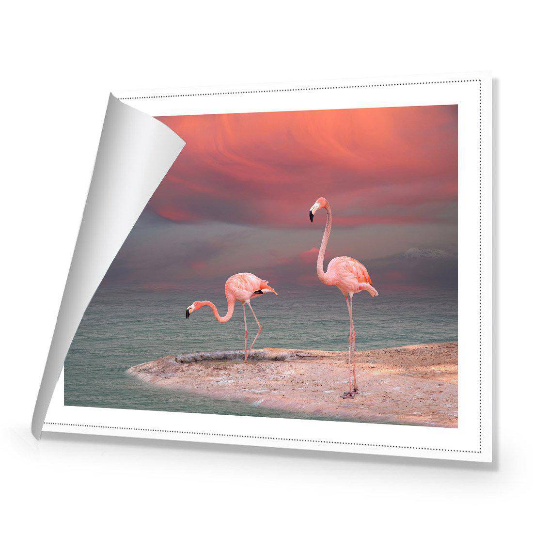 Pink Flamingos Canvas Art-Canvas-Wall Art Designs-45x30cm-Rolled Canvas-Wall Art Designs