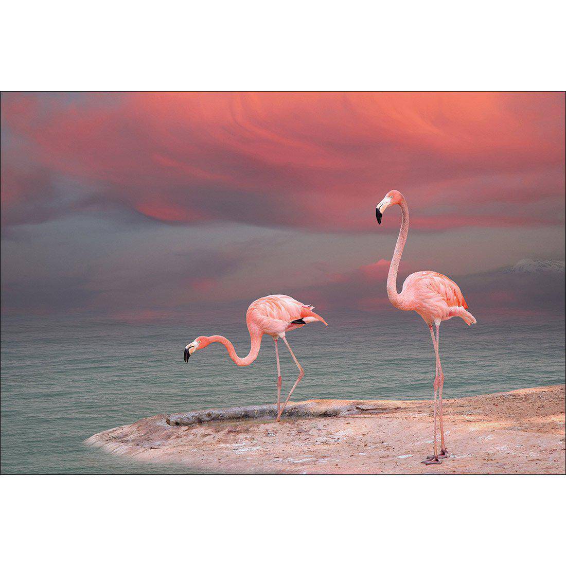 Pink Flamingos Canvas Art-Canvas-Wall Art Designs-45x30cm-Canvas - No Frame-Wall Art Designs