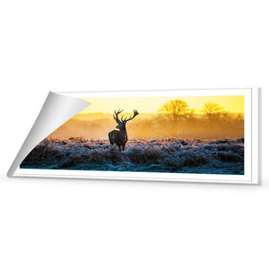 Red Deer At Dawn | Standard Canvas | No Frame | Rolled Canvas