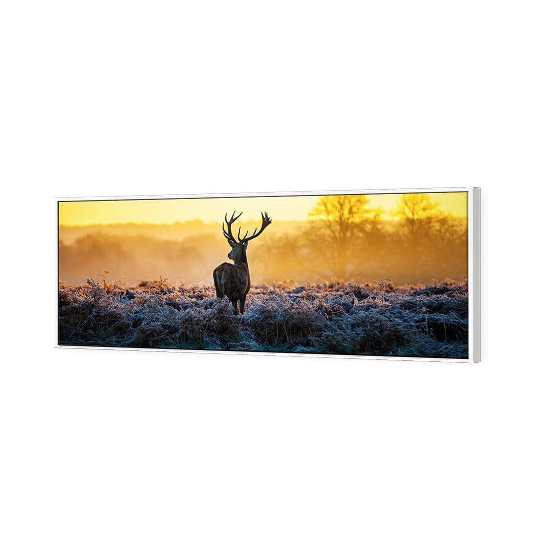 Red Deer At Dawn Canvas Art-Canvas-Wall Art Designs-60x20cm-Canvas - White Frame-Wall Art Designs