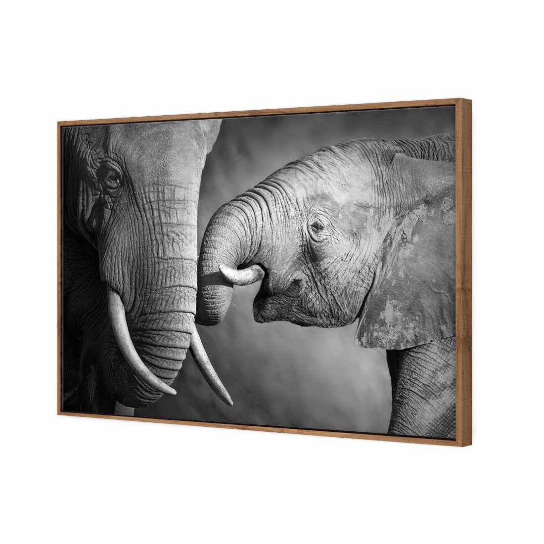 Elephant And Mum Canvas Art-Canvas-Wall Art Designs-45x30cm-Canvas - Natural Frame-Wall Art Designs