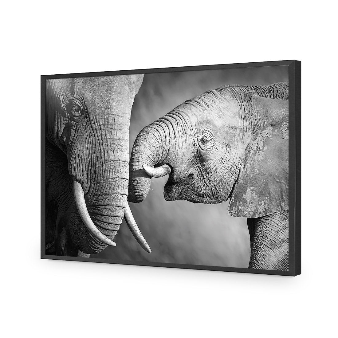 Elephant And Mum, B&W Acrylic Glass Art-Acrylic-Wall Art Design-Without Border-Acrylic - Black Frame-45x30cm-Wall Art Designs