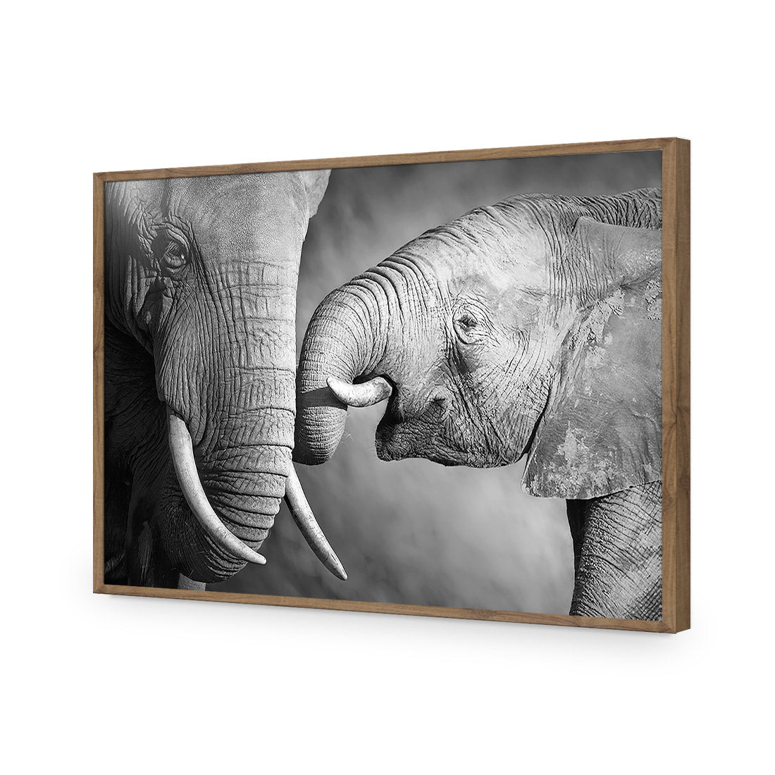 Elephant And Mum, B&W Acrylic Glass Art-Acrylic-Wall Art Design-Without Border-Acrylic - Natural Frame-45x30cm-Wall Art Designs