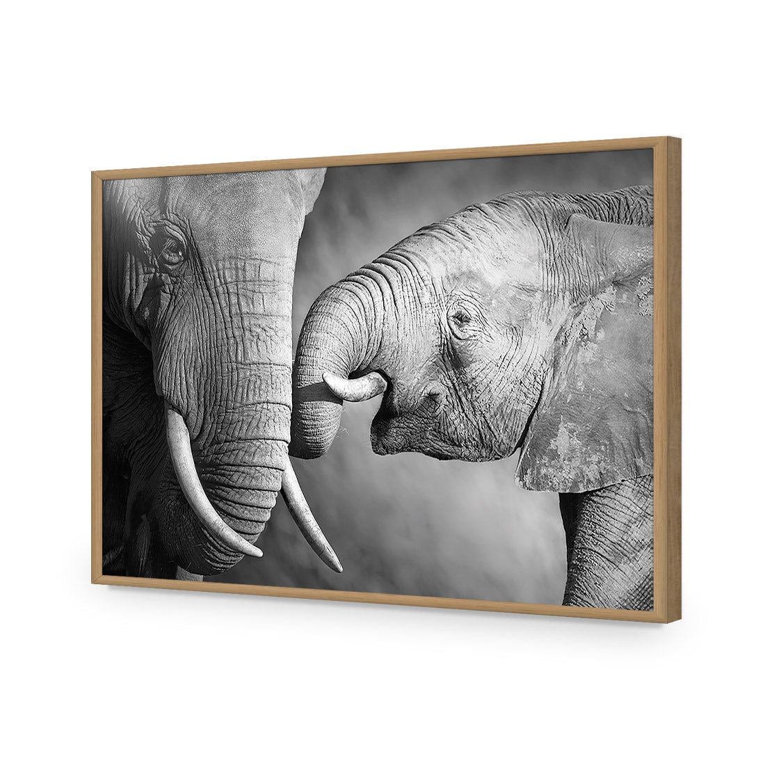 Elephant And Mum, B&W Acrylic Glass Art-Acrylic-Wall Art Design-Without Border-Acrylic - Oak Frame-45x30cm-Wall Art Designs