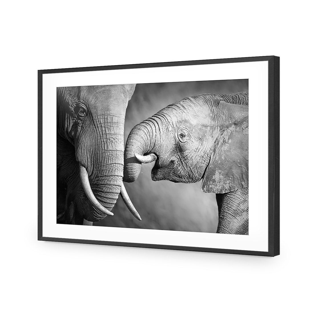 Elephant And Mum, B&W Acrylic Glass Art-Acrylic-Wall Art Design-With Border-Acrylic - Black Frame-45x30cm-Wall Art Designs