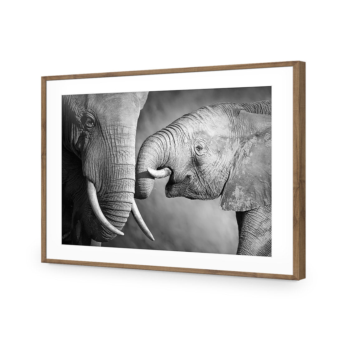 Elephant And Mum, B&W Acrylic Glass Art-Acrylic-Wall Art Design-With Border-Acrylic - Natural Frame-45x30cm-Wall Art Designs