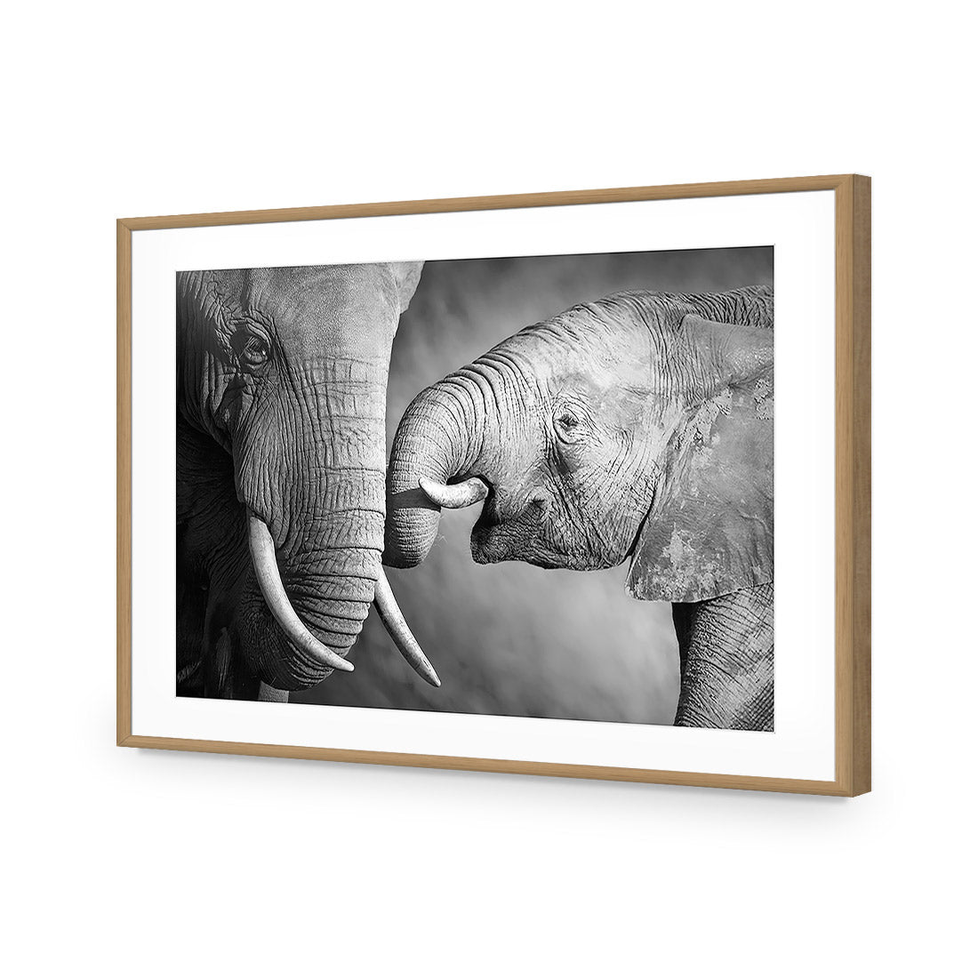 Elephant And Mum, B&W Acrylic Glass Art-Acrylic-Wall Art Design-With Border-Acrylic - Oak Frame-45x30cm-Wall Art Designs