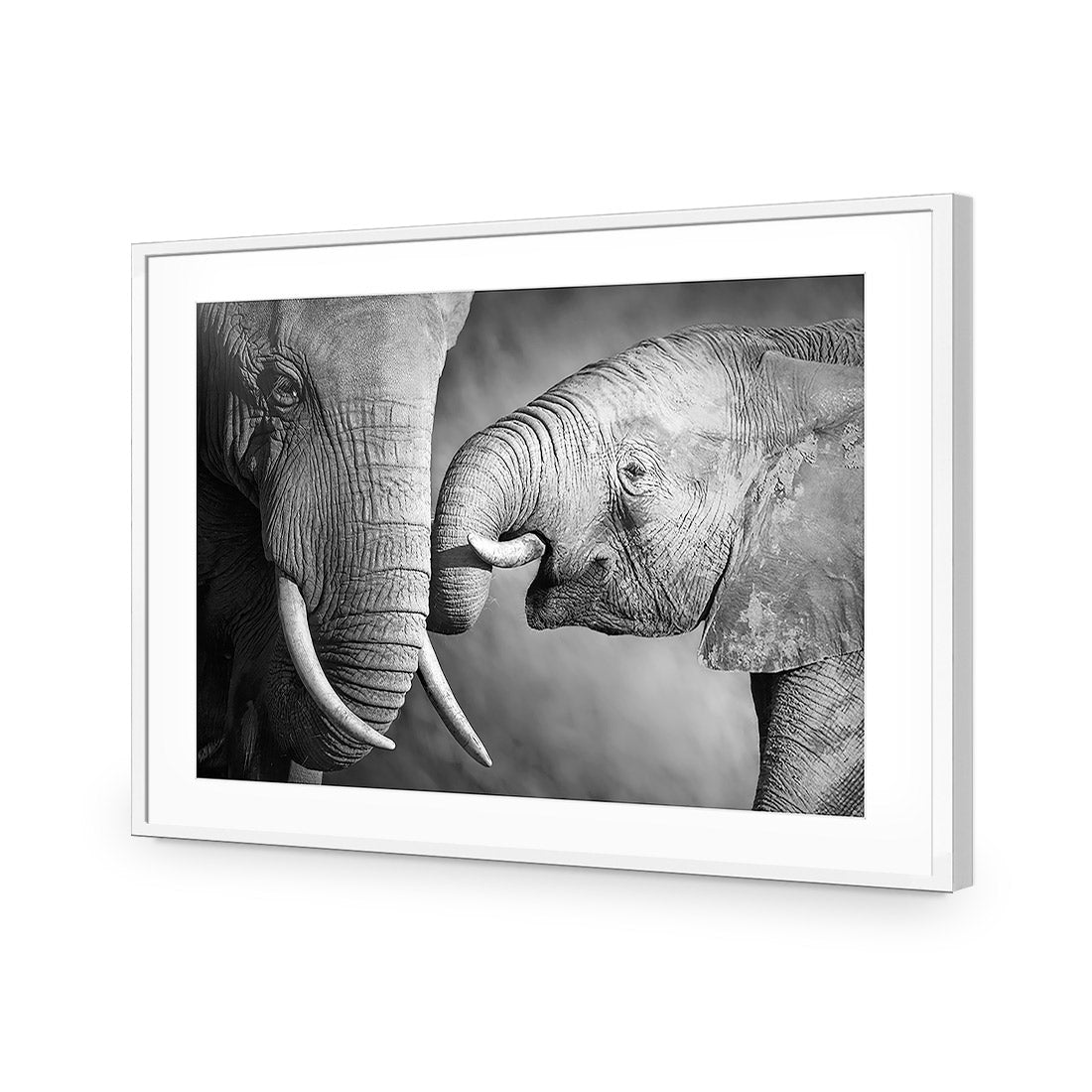 Elephant And Mum, B&W Acrylic Glass Art-Acrylic-Wall Art Design-With Border-Acrylic - White Frame-45x30cm-Wall Art Designs