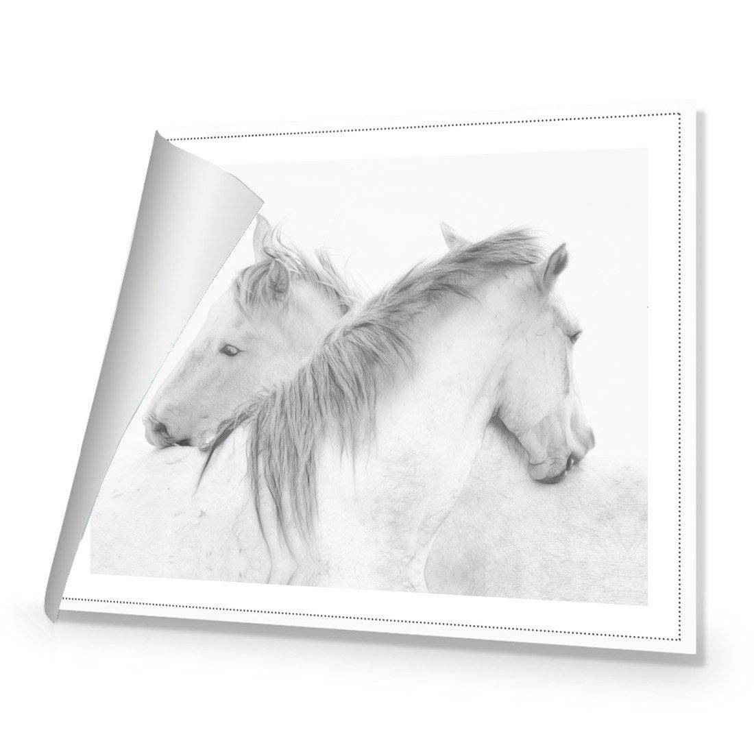 Horses by Marie-Anne Stas Canvas Art-Canvas-Wall Art Designs-45x30cm-Rolled Canvas-Wall Art Designs