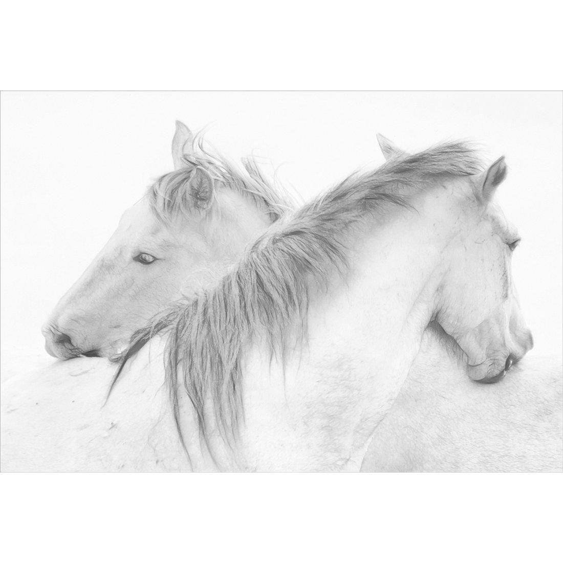 Horses by Marie-Anne Stas Canvas Art-Canvas-Wall Art Designs-45x30cm-Canvas - No Frame-Wall Art Designs