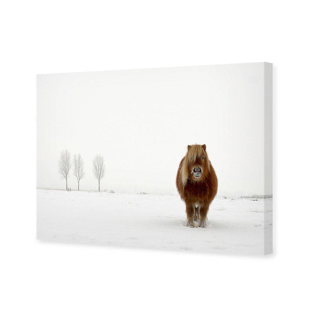 The Cold Pony by Gert Van Den Canvas Art-Canvas-Wall Art Designs-45x30cm-Canvas - No Frame-Wall Art Designs