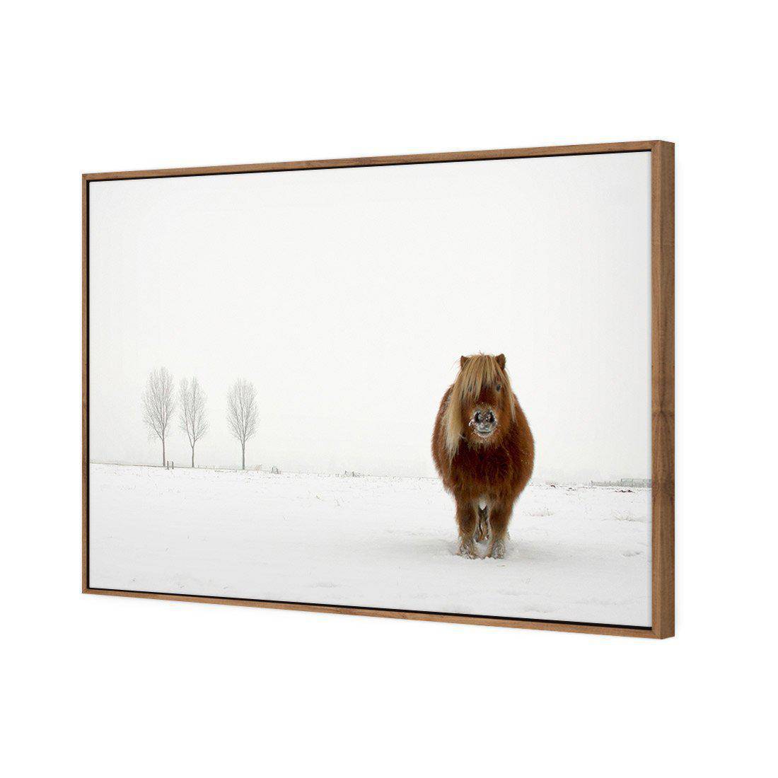 The Cold Pony by Gert Van Den Canvas Art-Canvas-Wall Art Designs-45x30cm-Canvas - Natural Frame-Wall Art Designs