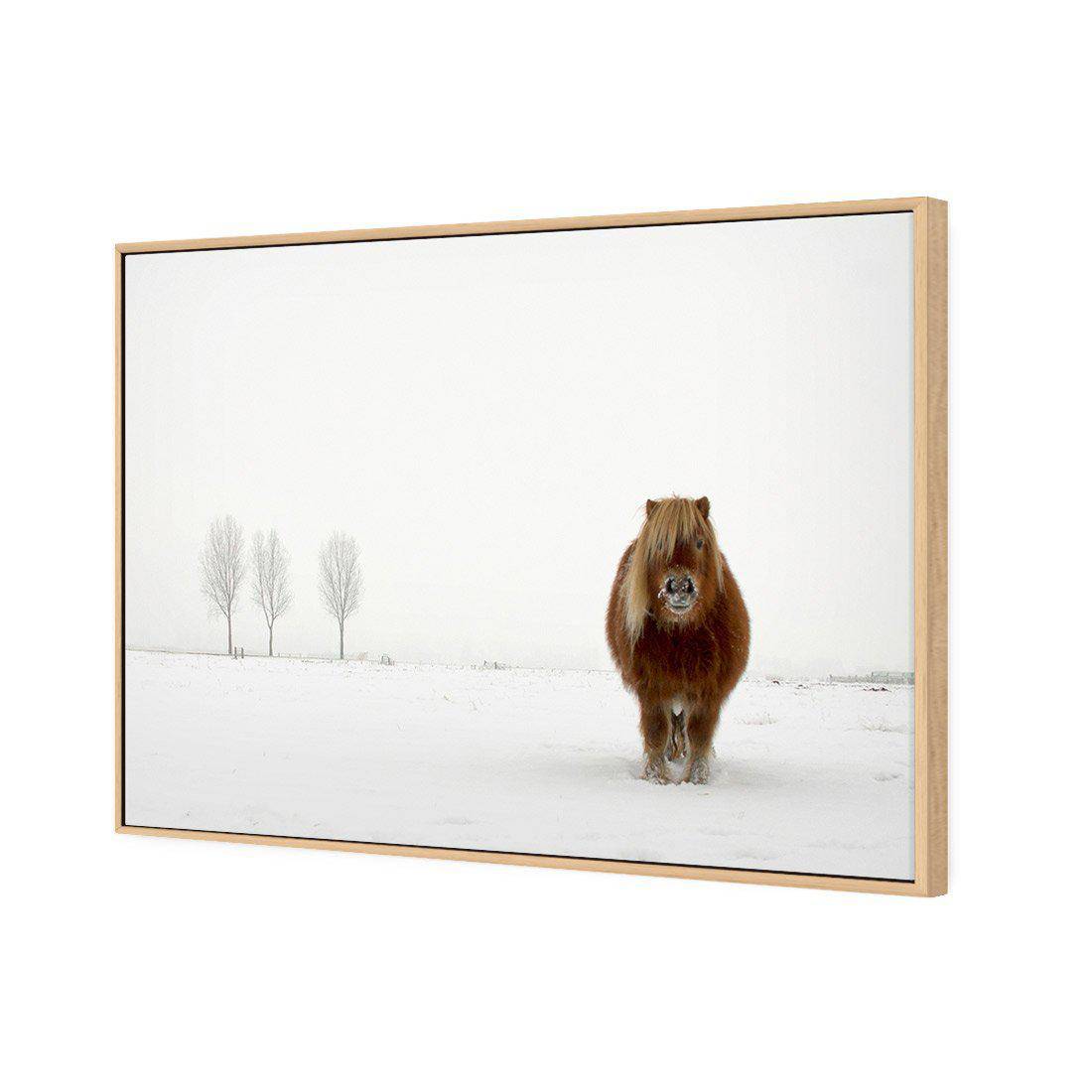 The Cold Pony by Gert Van Den Canvas Art-Canvas-Wall Art Designs-45x30cm-Canvas - Oak Frame-Wall Art Designs