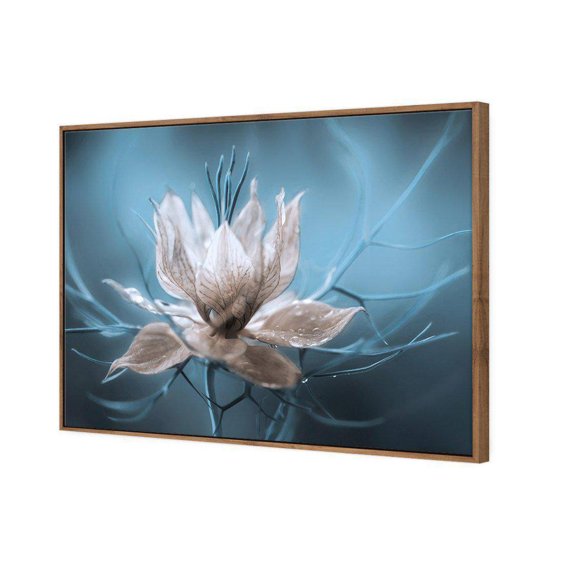Nigella by Mandy Disher Canvas Art-Canvas-Wall Art Designs-45x30cm-Canvas - Natural Frame-Wall Art Designs