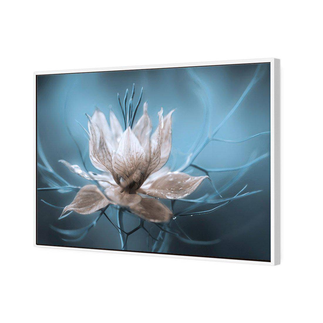 Nigella by Mandy Disher Canvas Art-Canvas-Wall Art Designs-45x30cm-Canvas - White Frame-Wall Art Designs